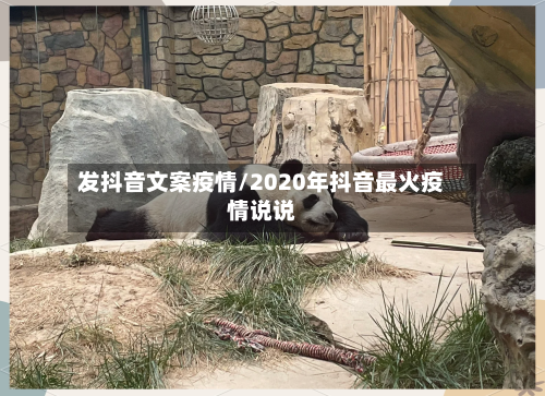 发抖音文案疫情/2020年抖音最火疫情说说