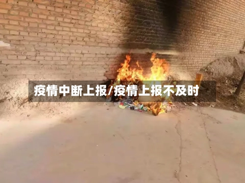 疫情中断上报/疫情上报不及时