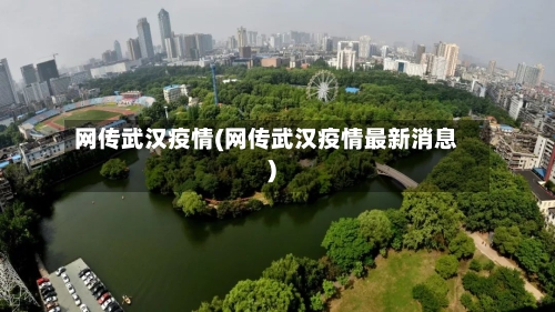 网传武汉疫情(网传武汉疫情最新消息)