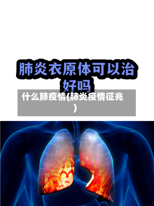 什么肺疫情(肺炎疫情征兆)