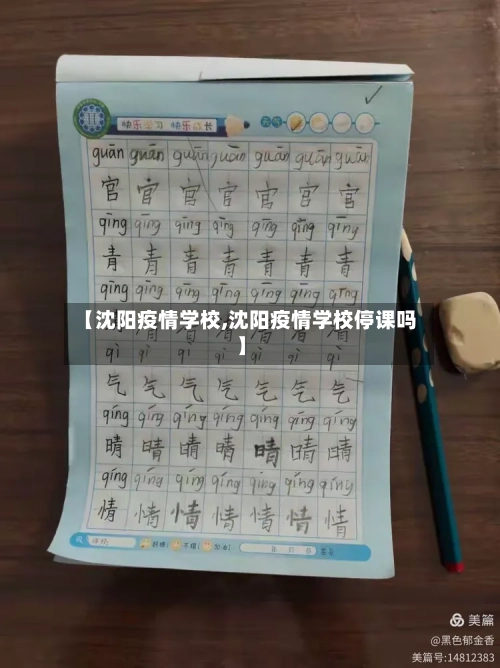 【沈阳疫情学校,沈阳疫情学校停课吗】