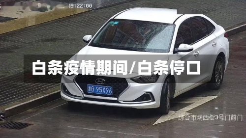 白条疫情期间/白条停口