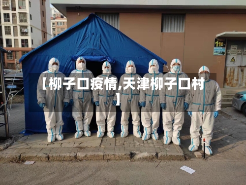 【柳子口疫情,天津柳子口村】