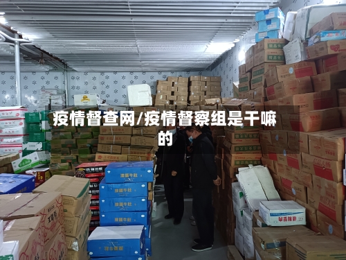 疫情督查网/疫情督察组是干嘛的