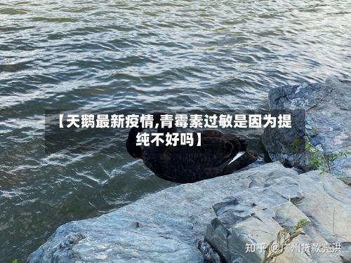【天鹅最新疫情,青霉素过敏是因为提纯不好吗】