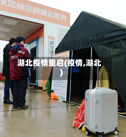 湖北疫情重启(疫情,湖北)