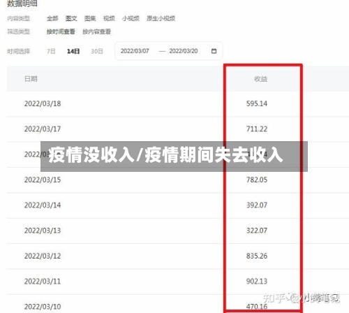 疫情没收入/疫情期间失去收入