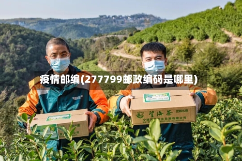 疫情邮编(277799邮政编码是哪里)
