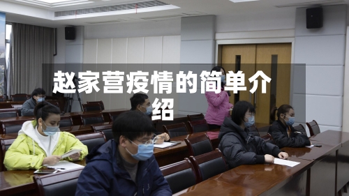 赵家营疫情的简单介绍