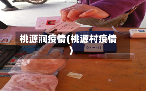 桃源涧疫情(桃源村疫情)