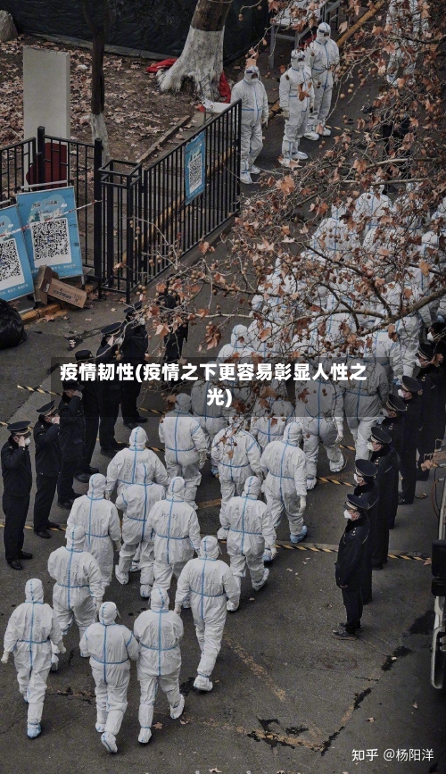 疫情韧性(疫情之下更容易彰显人性之光)