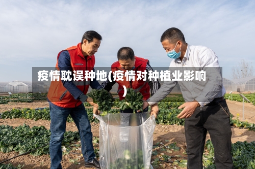 疫情耽误种地(疫情对种植业影响)