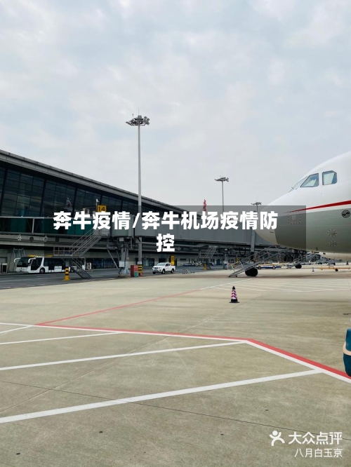 奔牛疫情/奔牛机场疫情防控