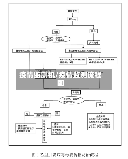 疫情监测机/疫情监测流程图