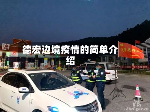 德宏边境疫情的简单介绍