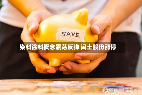 染料涂料概念震荡反弹 闰土股份涨停