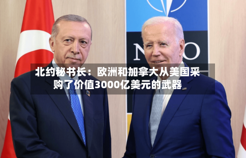 北约秘书长：欧洲和加拿大从美国采购了价值3000亿美元的武器