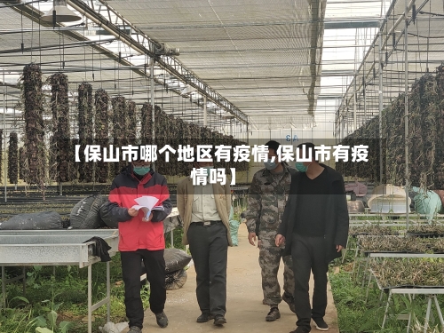 【保山市哪个地区有疫情,保山市有疫情吗】