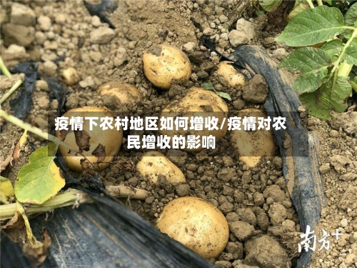疫情下农村地区如何增收/疫情对农民增收的影响