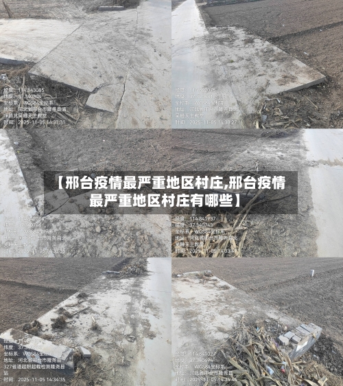 【邢台疫情最严重地区村庄,邢台疫情最严重地区村庄有哪些】