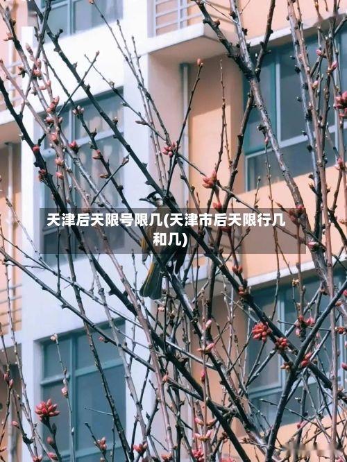天津后天限号限几(天津市后天限行几和几)