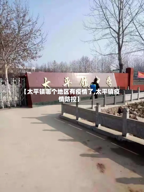 【太平镇哪个地区有疫情了,太平镇疫情防控】