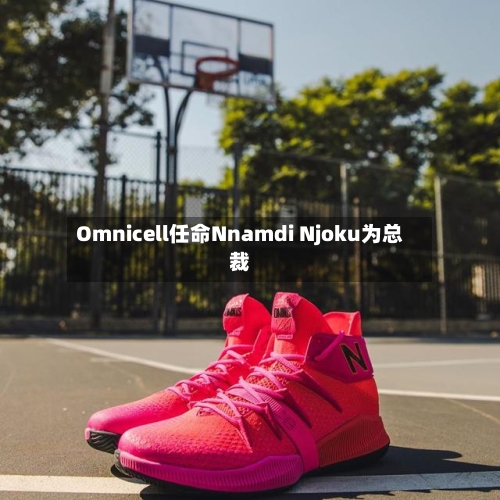 Omnicell任命Nnamdi Njoku为总裁