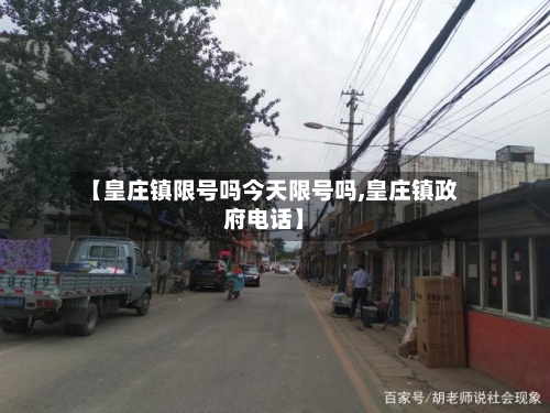【皇庄镇限号吗今天限号吗,皇庄镇政府电话】