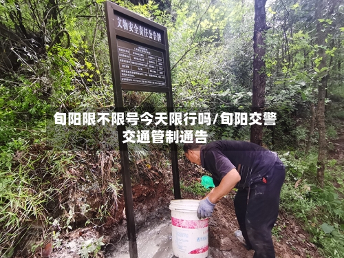 旬阳限不限号今天限行吗/旬阳交警交通管制通告