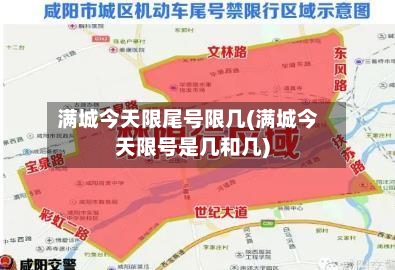 满城今天限尾号限几(满城今天限号是几和几)