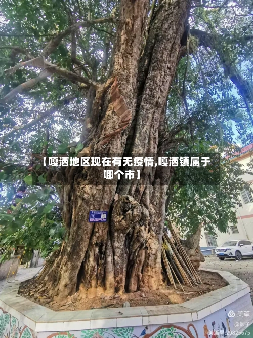 【嘎洒地区现在有无疫情,嘎洒镇属于哪个市】