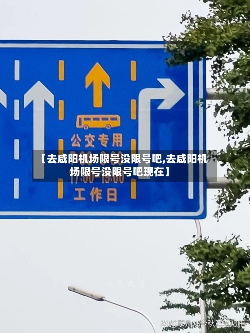 【去咸阳机场限号没限号吧,去咸阳机场限号没限号吧现在】