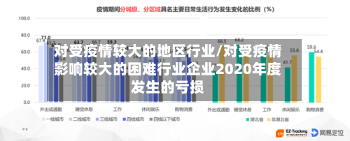 对受疫情较大的地区行业/对受疫情影响较大的困难行业企业2020年度发生的亏损