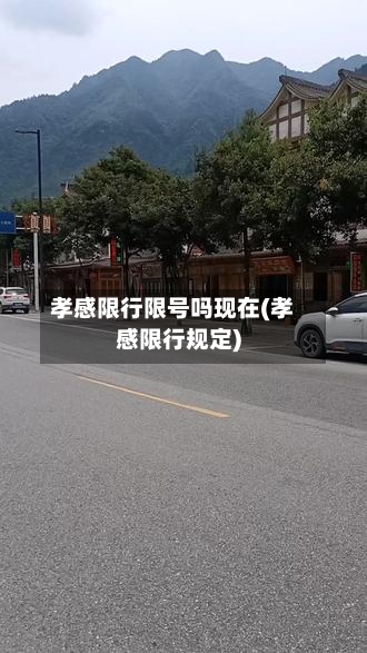 孝感限行限号吗现在(孝感限行规定)