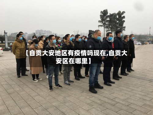 【自贡大安地区有疫情吗现在,自贡大安区在哪里】
