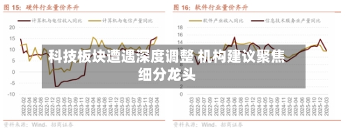 科技板块遭遇深度调整 机构建议聚焦细分龙头