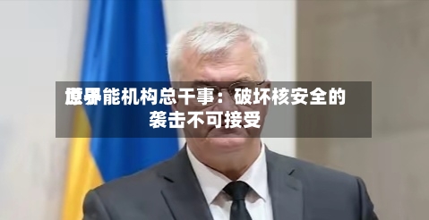 世界原子能机构总干事：破坏核安全的袭击不可接受