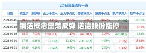 铜箔概念震荡反弹 诺德股份涨停