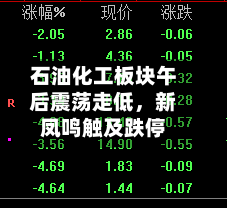 石油化工板块午后震荡走低，新凤鸣触及跌停