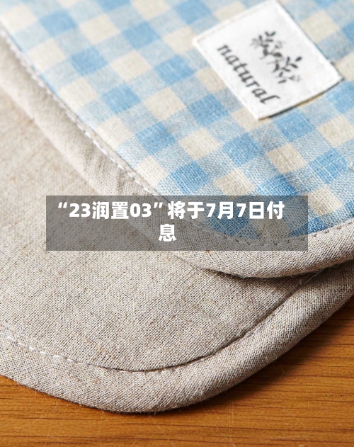 “23润置03”将于7月7日付息