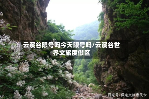 云溪谷限号吗今天限号吗/云溪谷世界文旅度假区