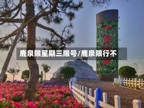 鹿泉限星期三限号/鹿泉限行不