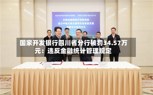 国家开发银行四川省分行被罚34.57万元：违反金融统计管理规定