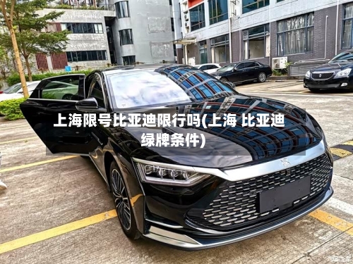 上海限号比亚迪限行吗(上海 比亚迪绿牌条件)