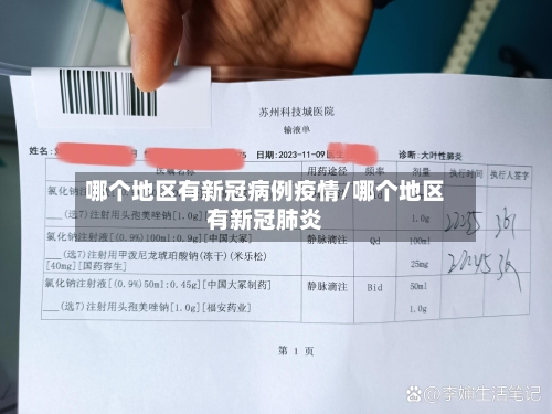 哪个地区有新冠病例疫情/哪个地区有新冠肺炎