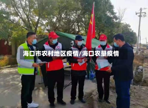 海口市农村地区疫情/海口农垦疫情