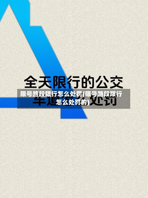 限号路段限行怎么处罚(限号路段限行怎么处罚的)