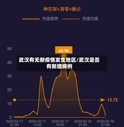 武汉有无新疫情发生地区/武汉是否有新增病例