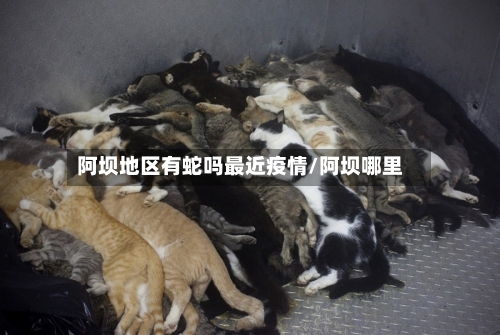 阿坝地区有蛇吗最近疫情/阿坝哪里