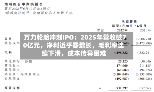 万力轮胎冲刺IPO：2025年营收破70亿元，净利近乎零增长，毛利率连续下滑，成本传导困难